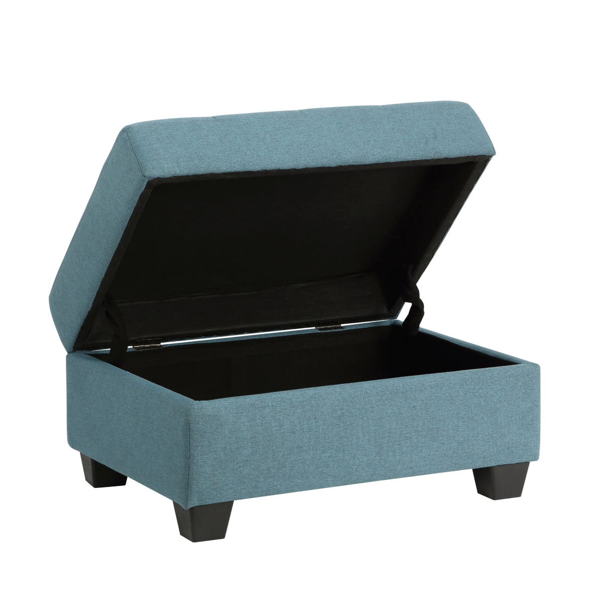 Ottoman de Rangement Dunstan | Bleu | 4-UB7693