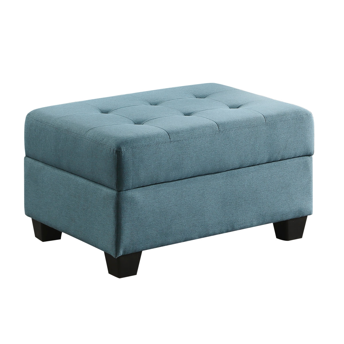 Ottoman de Rangement Dunstan | Bleu | 4-UB7693