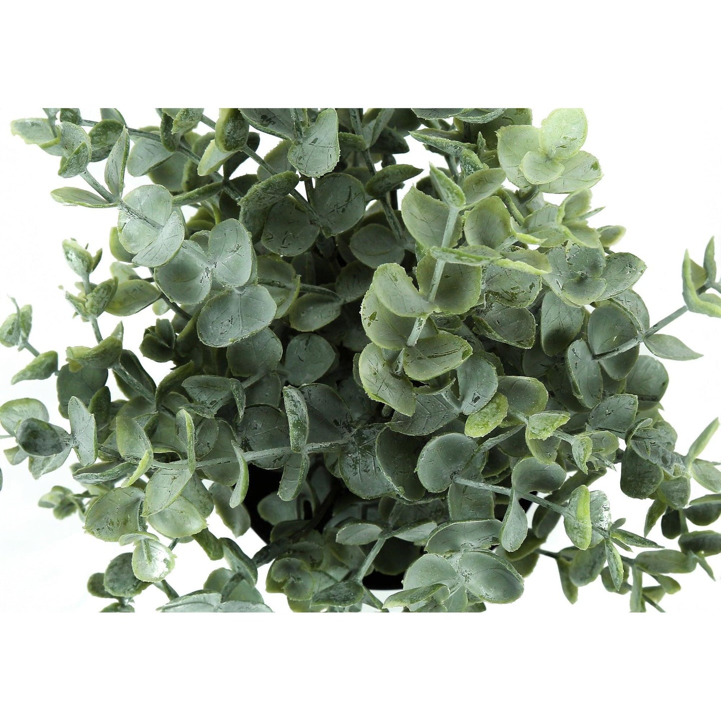 Plante Artificielle - 2MCX / 11"H Eucalyptus/ Gazon Pot 5" / #MO9580