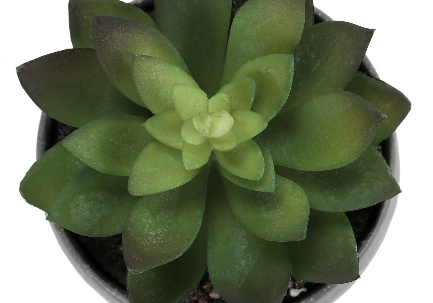 Plante Artificielle - 3MCX / 6"H Pot Gris 3" / #MO9587