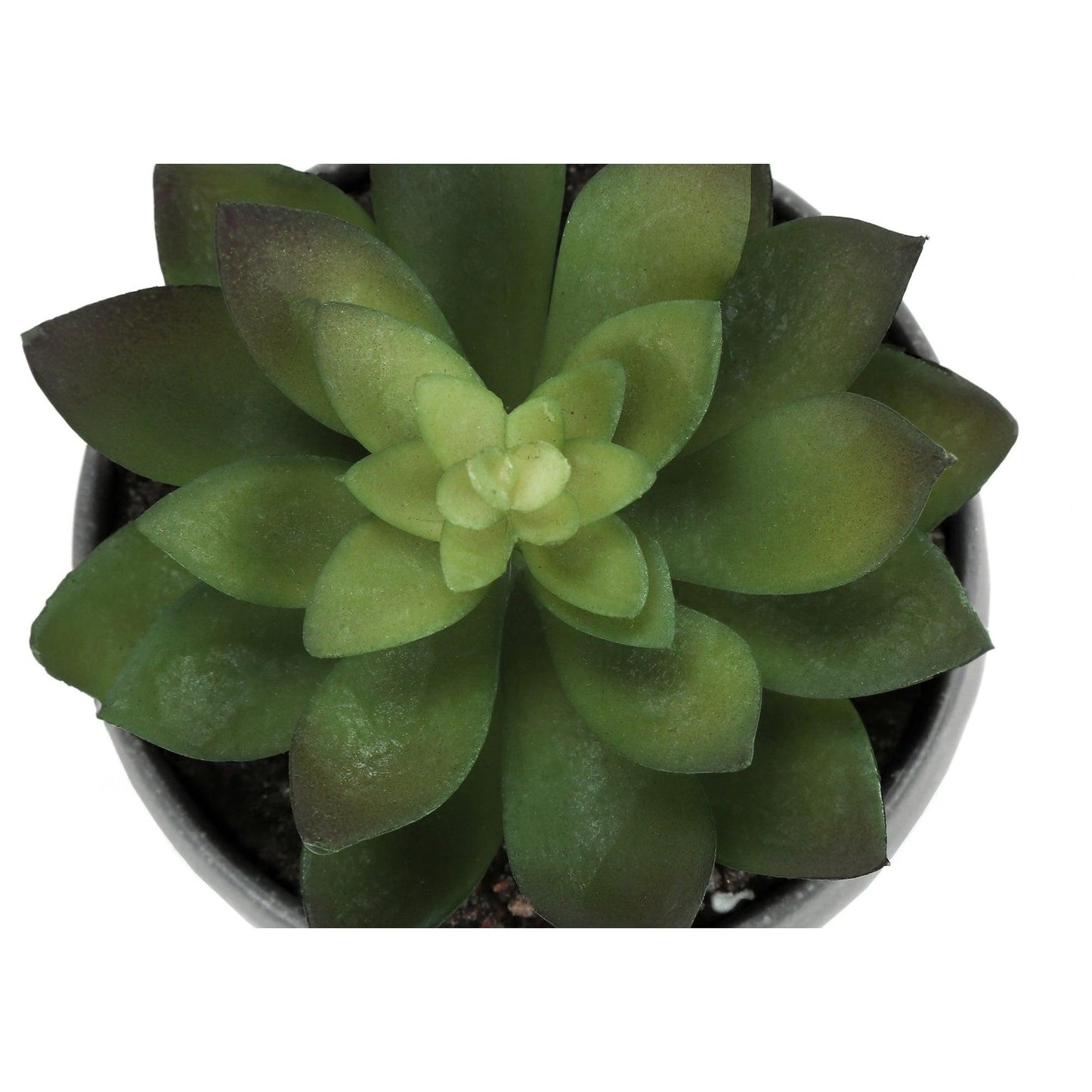 Plante Artificielle - 3MCX / 6"H Pot Gris 3" / #MO9587