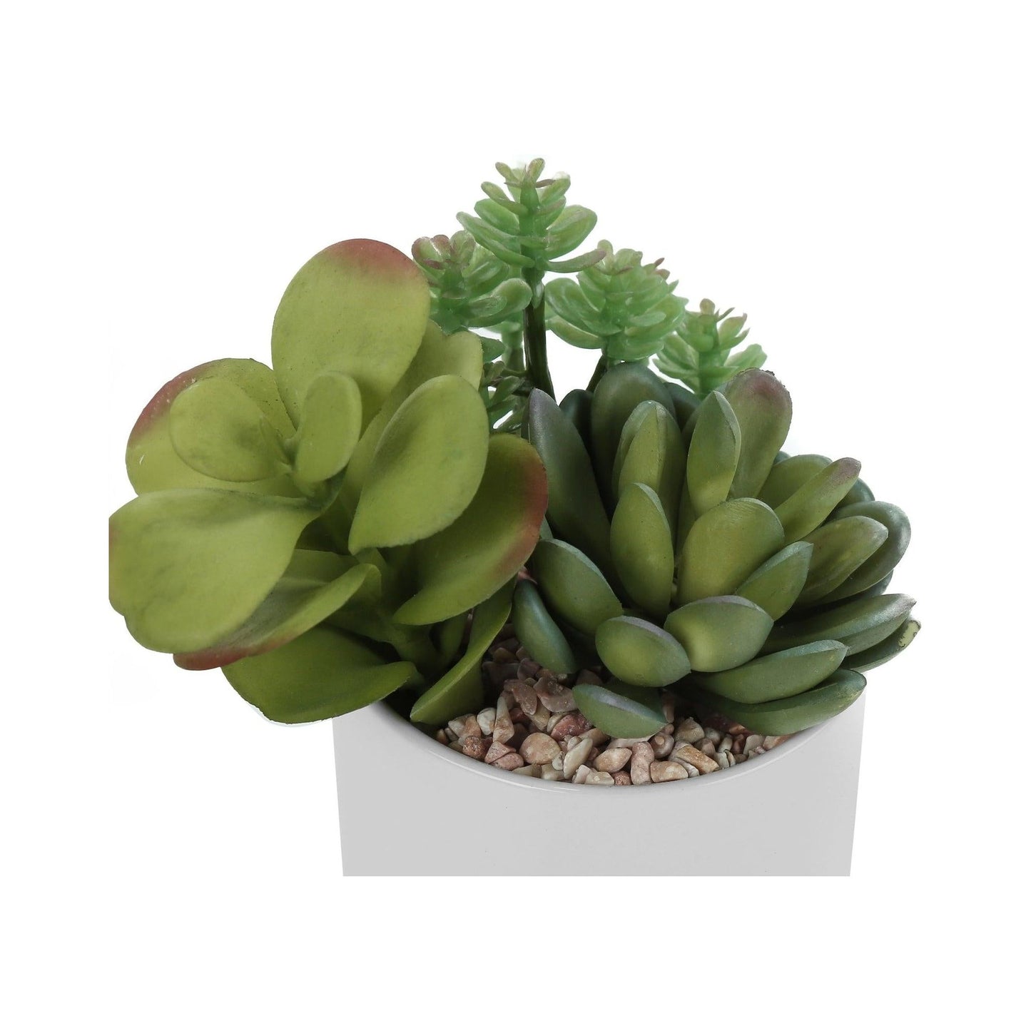 Plante Artificielle - 2MCX/7"H Pot Céramique 3" / #MO9588