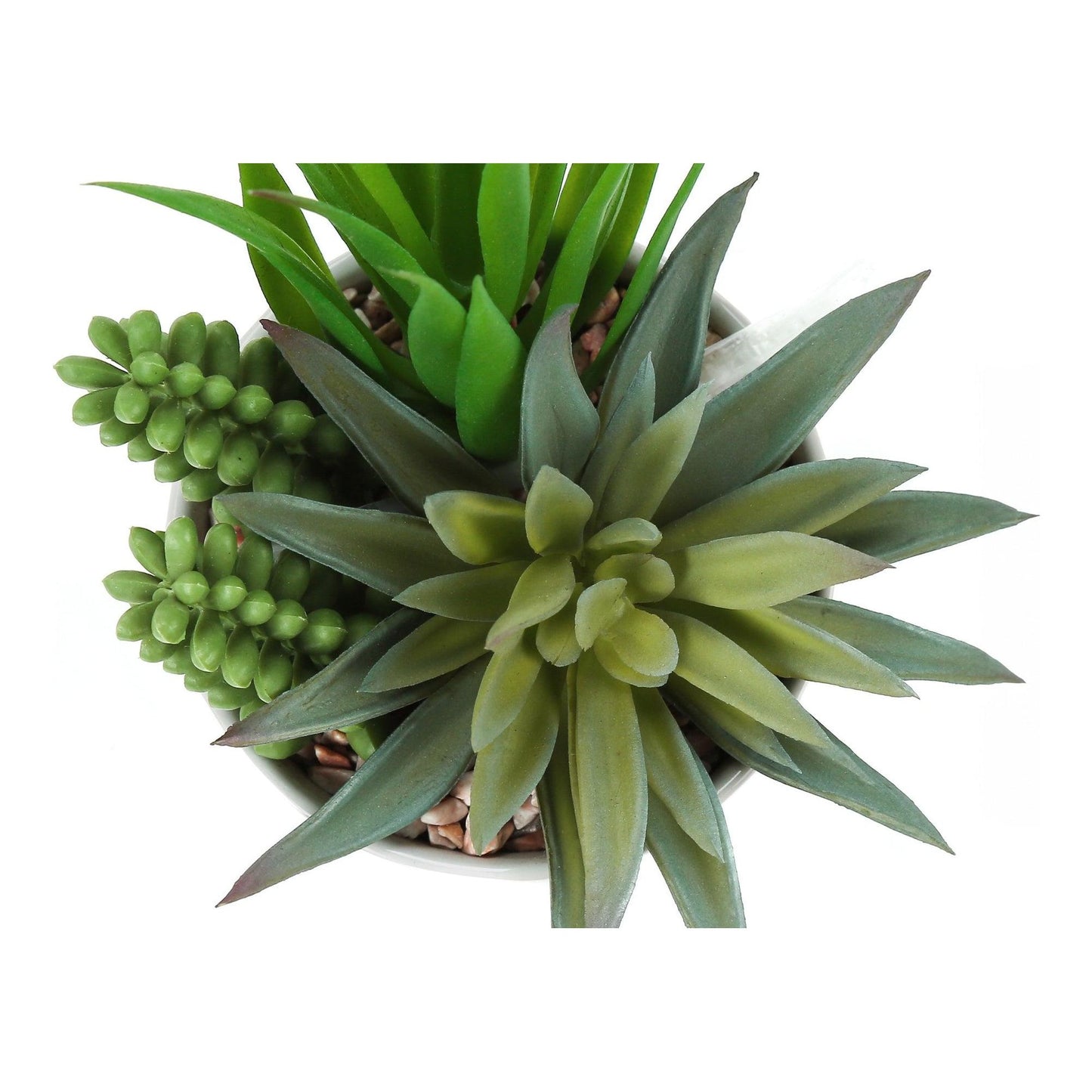 Plante Artificielle - 2MCX/7"H Pot Céramique 3" / #MO9588