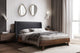 Lit Queen Complet- Base en Faux Bois avec tête en Tissu Gris Foncé