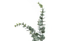 Plante Artificielle - 44"H / Eucalyptus Intérieur Pot 5" / #MO9561