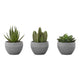 Plante Artificielle - 3MCX / 6"H  Pot Gris 3" / #MO9587