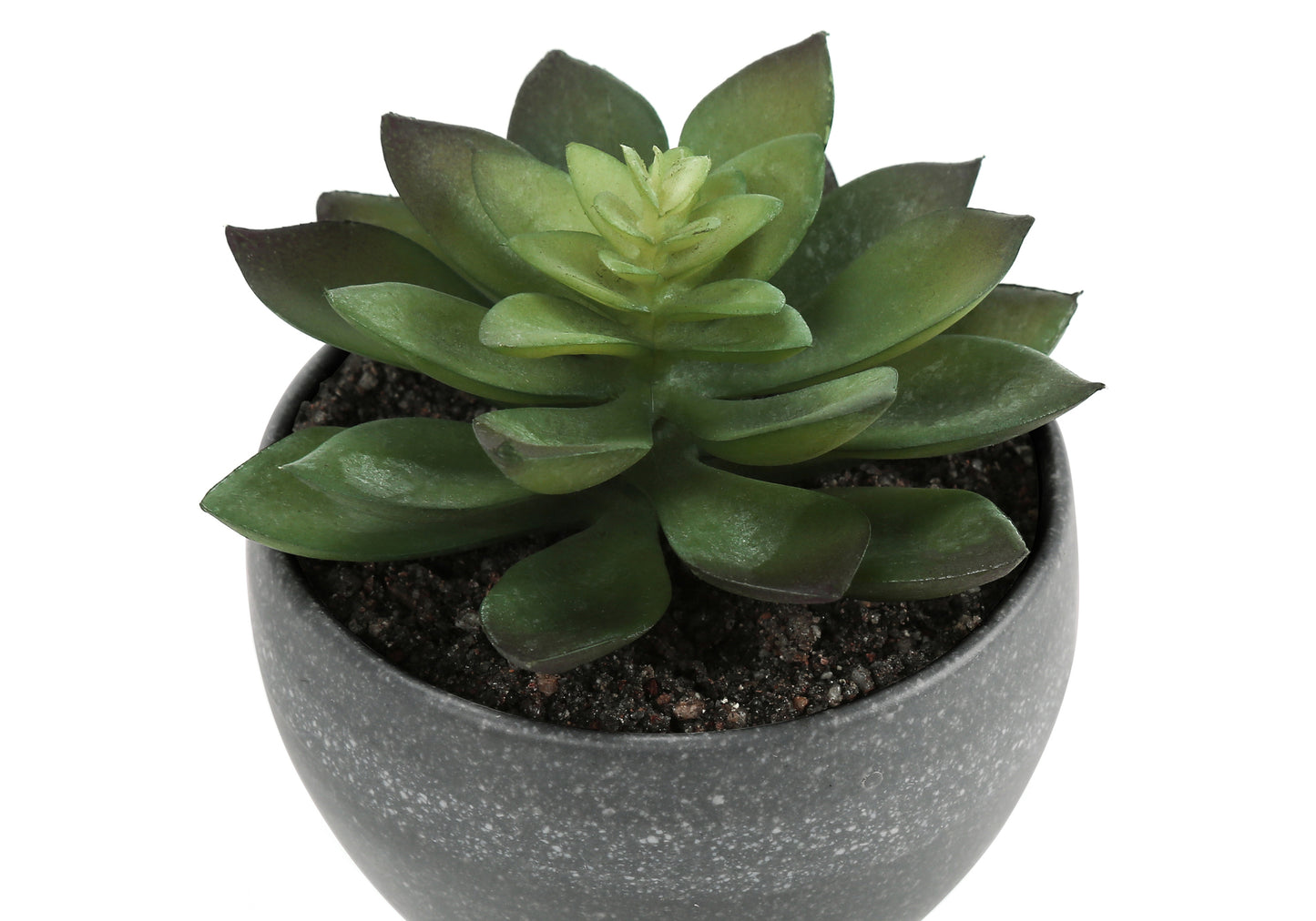 Plante Artificielle - 3MCX / 6"H  Pot Gris 3" / #MO9587