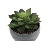 Plante Artificielle - 3MCX / 6"H  Pot Gris 3" / #MO9587