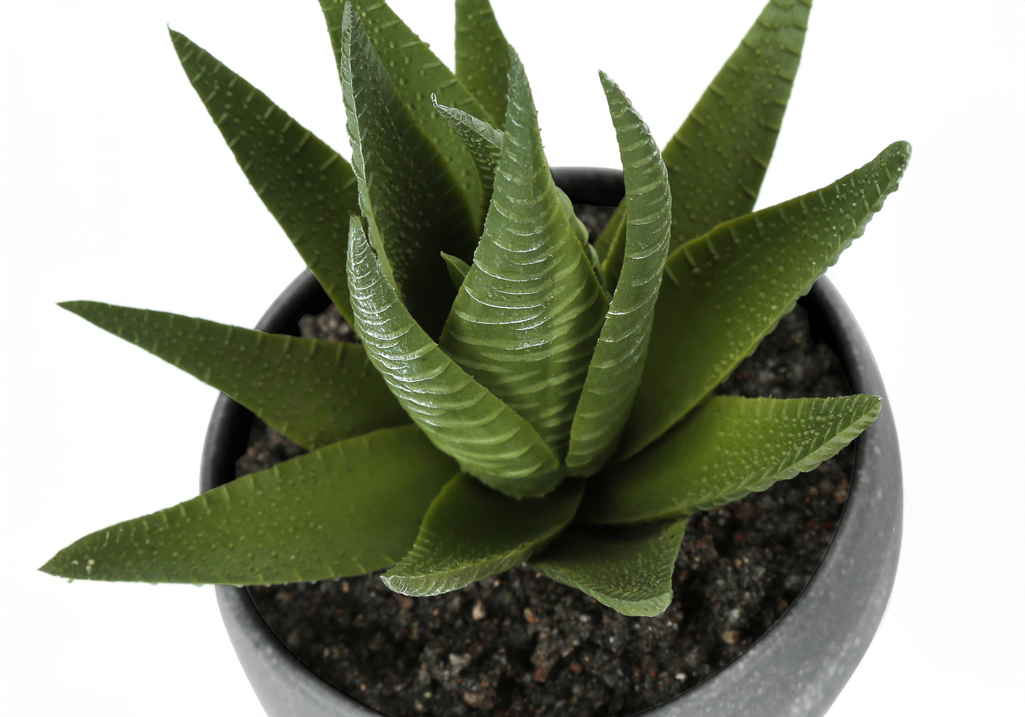 Plante Artificielle - 3MCX / 6"H  Pot Gris 3" / #MO9587