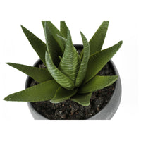 Plante Artificielle - 3MCX / 6"H  Pot Gris 3" / #MO9587