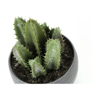 Plante Artificielle - 3MCX / 6"H  Pot Gris 3" / #MO9587