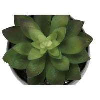 Plante Artificielle - 3MCX / 6"H  Pot Gris 3" / #MO9587