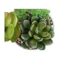Plante Artificielle - 2MCX/7"H Pot Céramique 3" / #MO9588