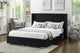 Lit Queen Complet en Velours avec Rangement | Noir | 3135-FI