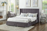Lit Queen Complet en Velours avec Rangement | Gris | 0135-FI