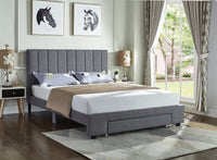 Lit Queen Complet Moderne Épuré et Tirroir de Rangement | Gris | 3845-FI