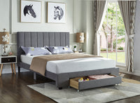 Lit Queen Complet Moderne Épuré et Tirroir de Rangement | Gris | 3845-FI