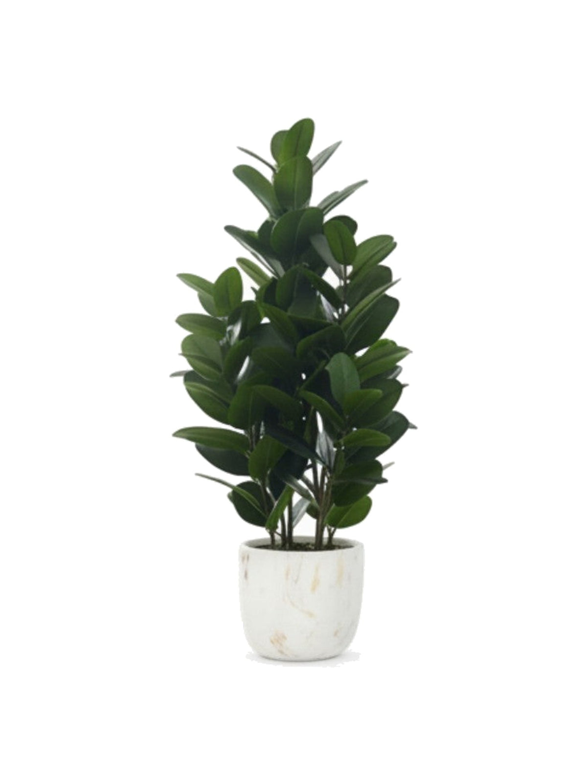Plante artificielle Garcinia TOCO Meubles avec feuillage vert dense dans un pot décoratif effet marbre blanc