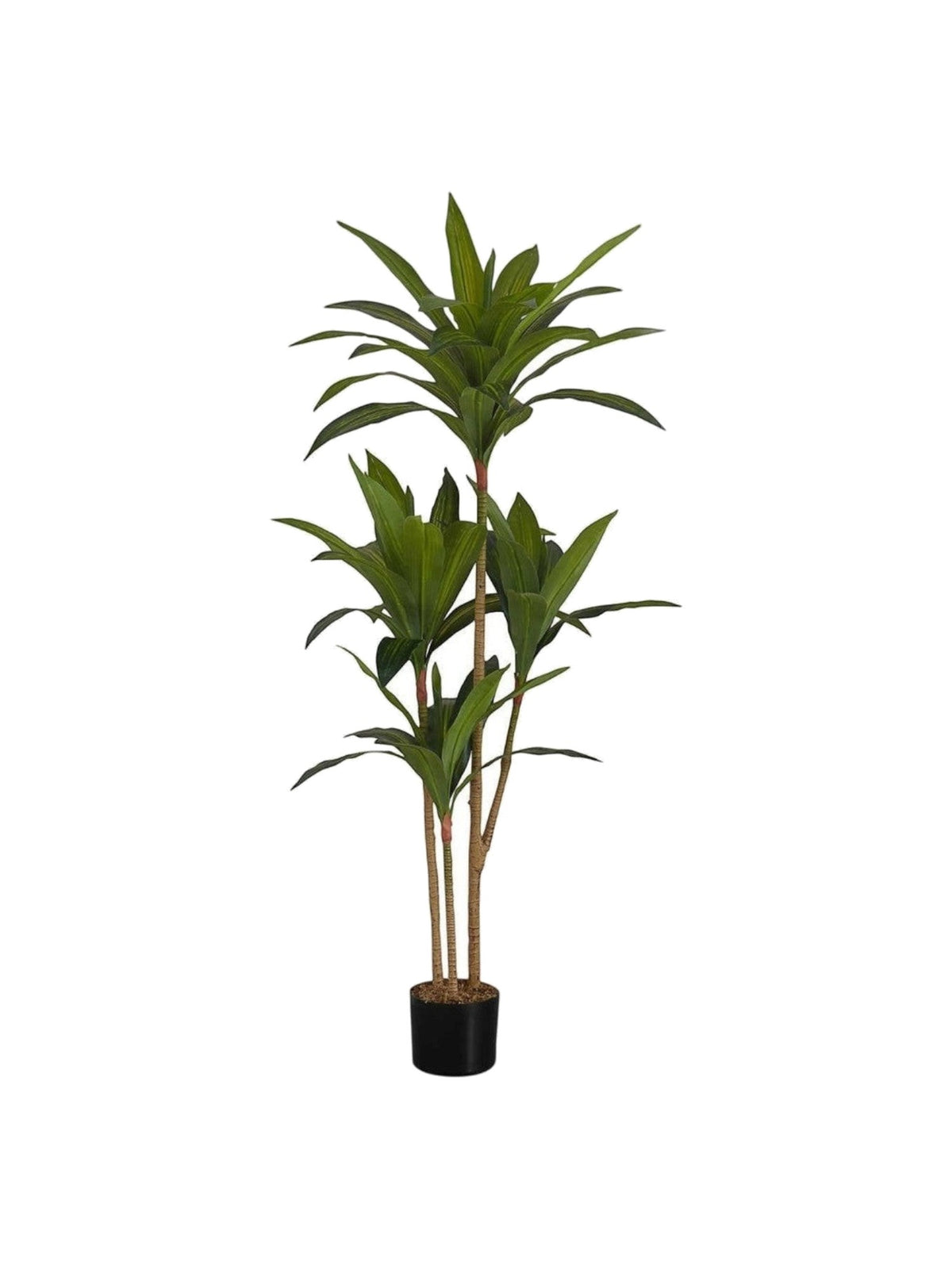 Arbre artificiel Dracaena Maxine par TOCO Meubles avec feuillage vert luxuriant dans un pot noir décoratif