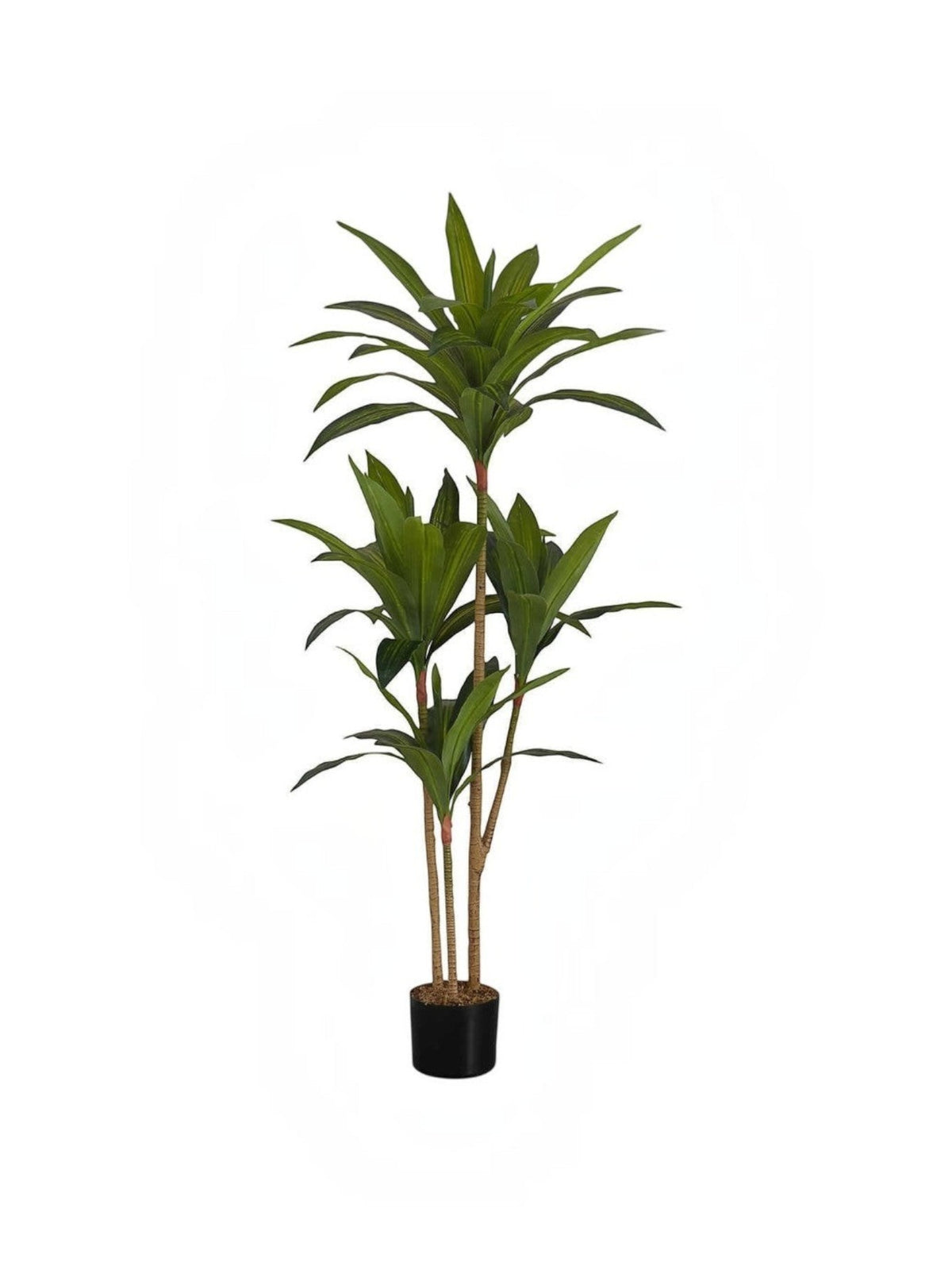 Arbre artificiel Dracaena Maxine par TOCO Meubles avec feuillage vert luxuriant dans un pot noir décoratif