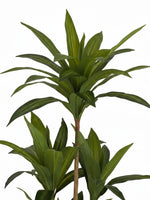 Arbre Dracaena artificiel Maxine de TOCO Meubles avec feuillage vert luxuriant et réaliste sur fond blanc