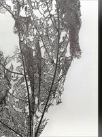 Toile décorative Verwesen TOCO Meubles avec motif organique noir et blanc dans un cadre flottant noir minimaliste