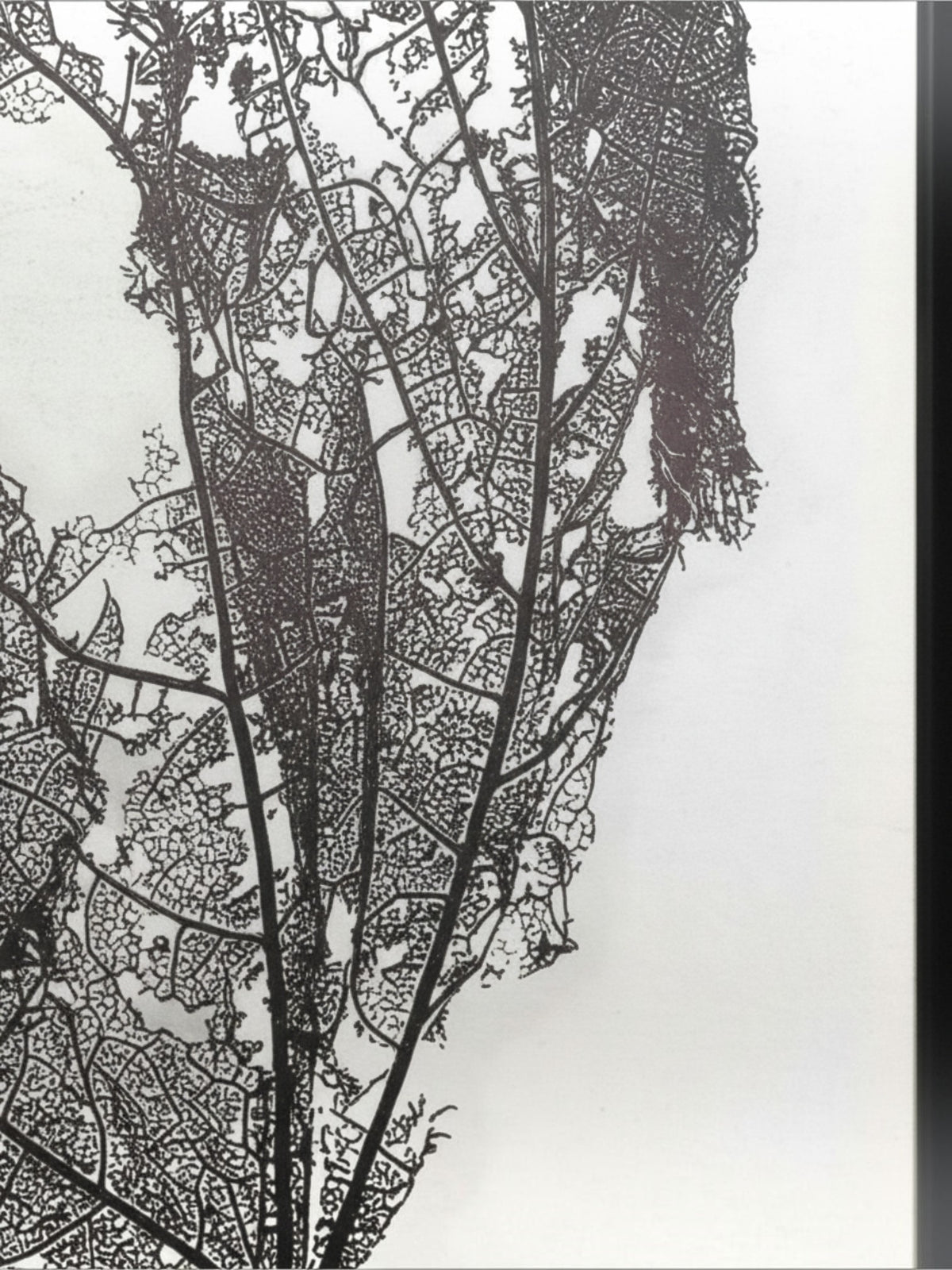 Toile décorative Verwesen TOCO Meubles avec motif organique noir et blanc dans un cadre flottant noir minimaliste