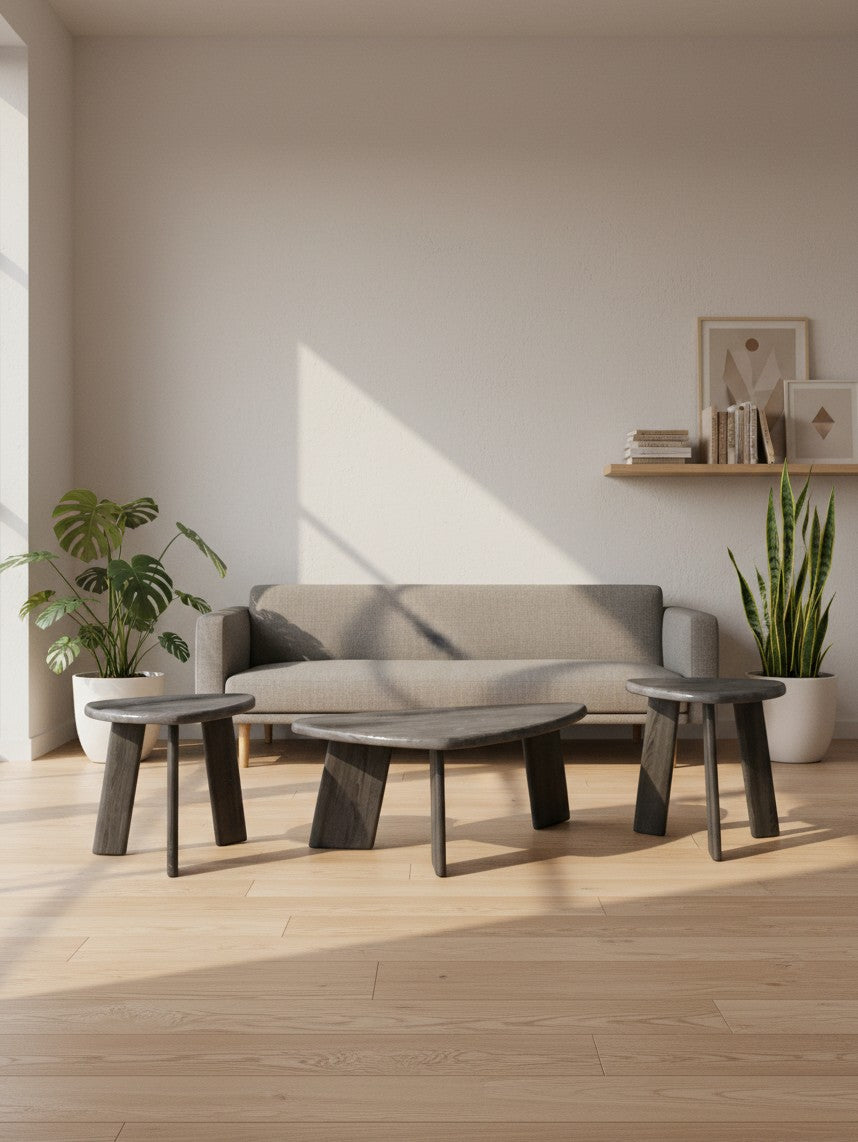 Ensemble de trois tables basses Hina en bois gris foncé dans un salon moderne avec canapé et plantes vertes