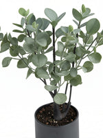 Plante artificielle eucalyptus TOCO Meubles avec feuillage vert réaliste dans un pot noir moderne