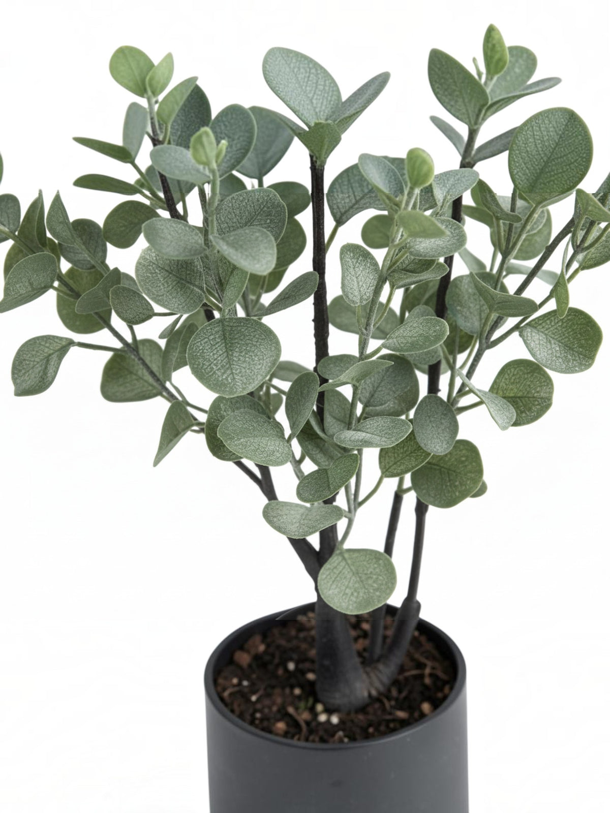 Plante artificielle eucalyptus TOCO Meubles avec feuillage vert réaliste dans un pot noir moderne