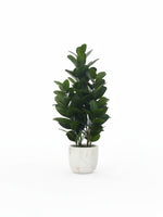 Plante artificielle Garcinia TOCO Meubles avec feuillage vert dense dans un pot décoratif effet marbre blanc