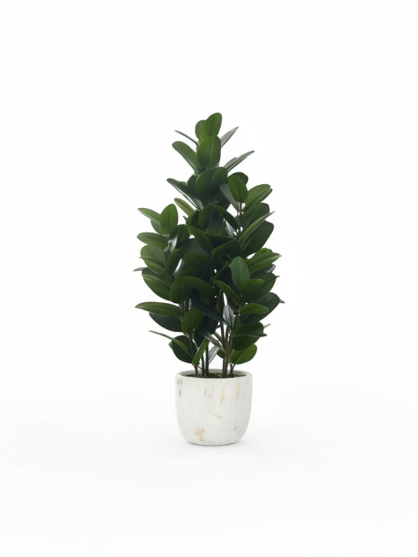 Plante artificielle Garcinia TOCO Meubles avec feuillage vert dense dans un pot décoratif effet marbre blanc