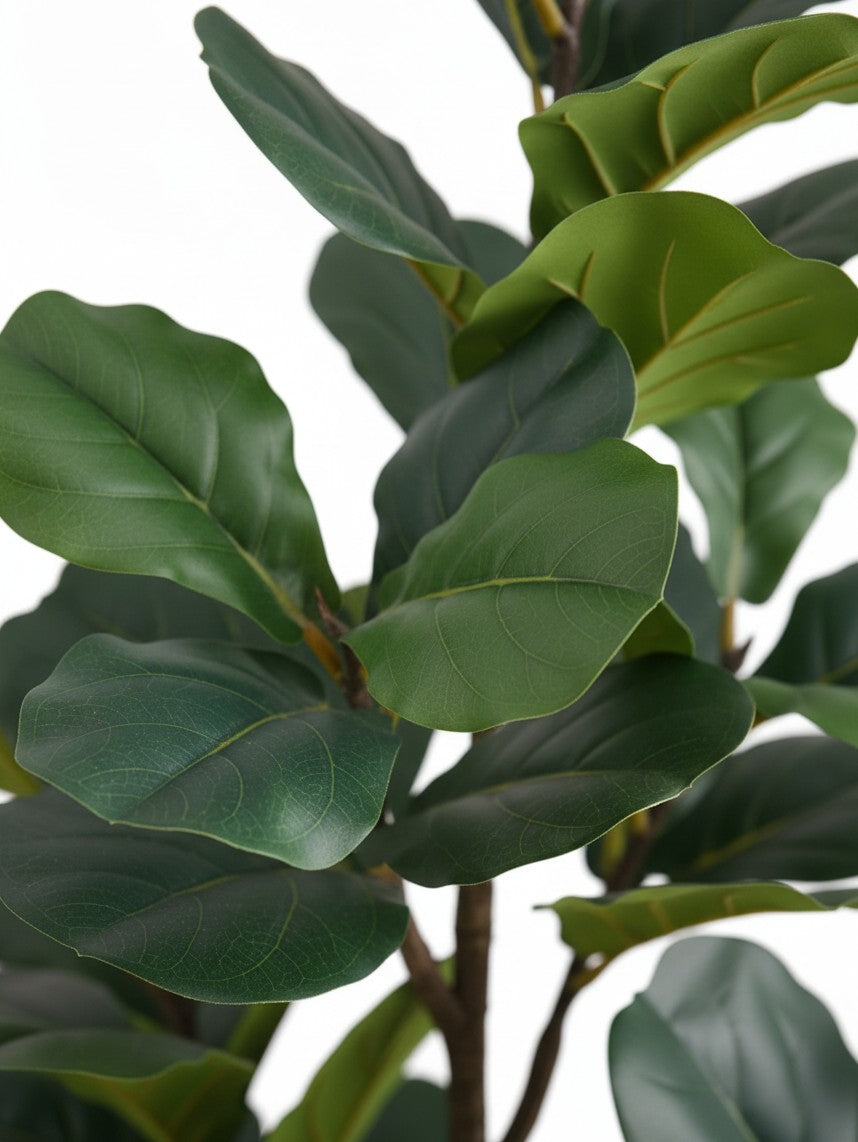 Gros plan sur les feuilles vertes réalistes de la plante artificielle Kami de TOCO Meubles