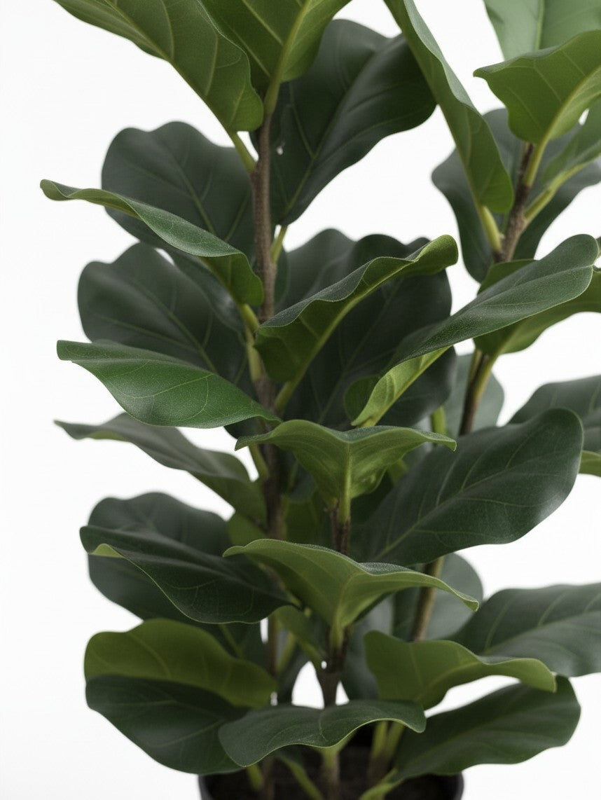 Plante artificielle Molly de TOCO Meubles avec feuillage vert dense et réaliste sur fond blanc