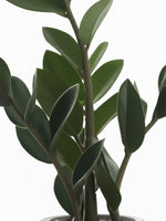Plante artificielle ZZ Marie de TOCO Meubles avec feuillage vert réaliste et ajustable dans un pot en ciment rainuré