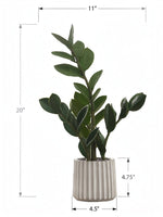 Plante artificielle ZZ Marie de TOCO Meubles avec feuillage réaliste dans un pot en ciment rainuré gris