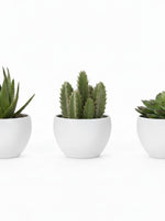 Ensemble de trois plantes artificielles TOCO Meubles dans des pots blancs minimalistes sur fond blanc