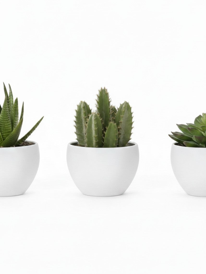 Ensemble de trois plantes artificielles TOCO Meubles dans des pots blancs minimalistes sur fond blanc