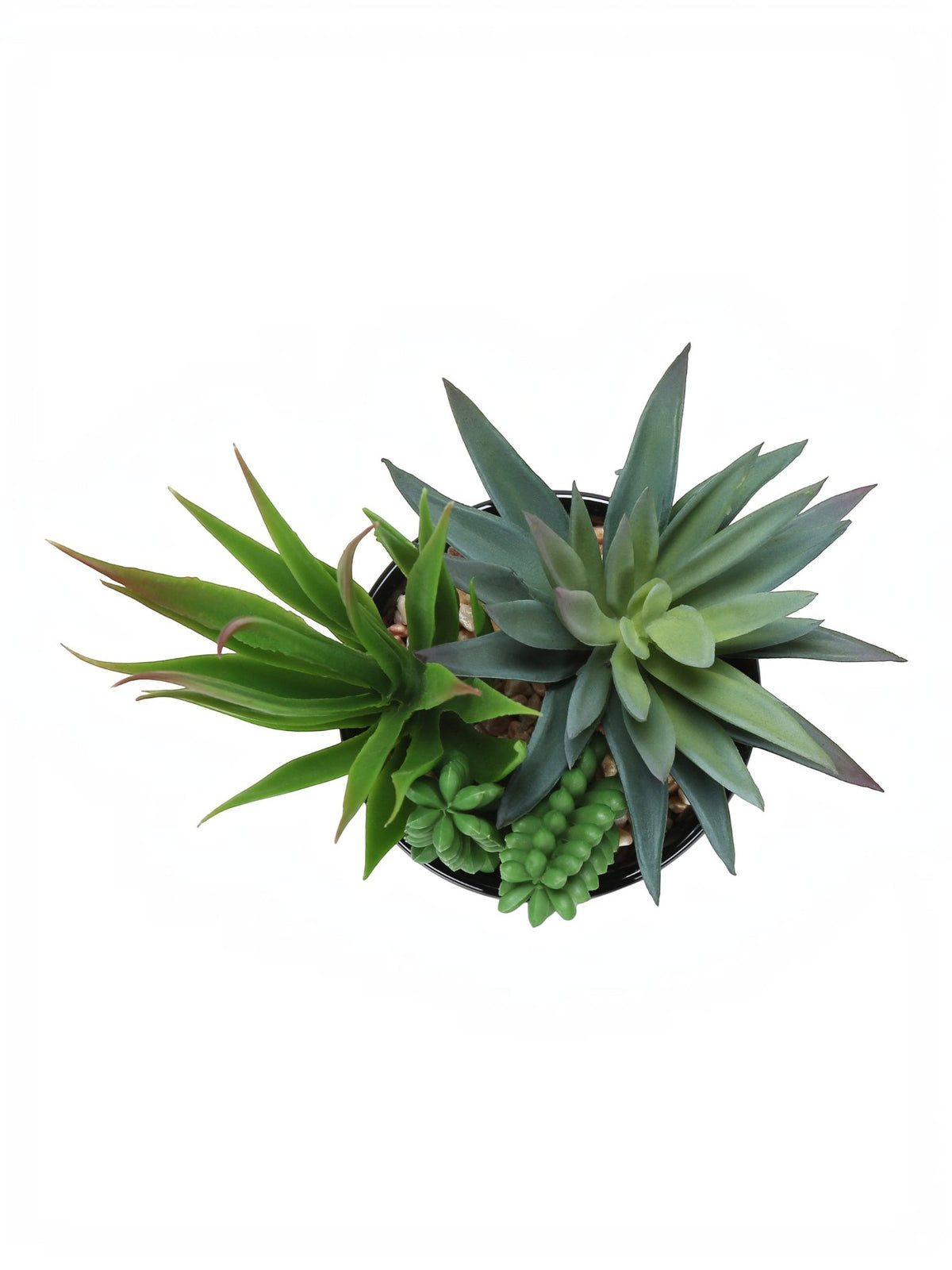 Ensemble de deux plantes succulentes artificielles TOCO Meubles dans un pot avec des cailloux décoratifs, vue de dessus.
