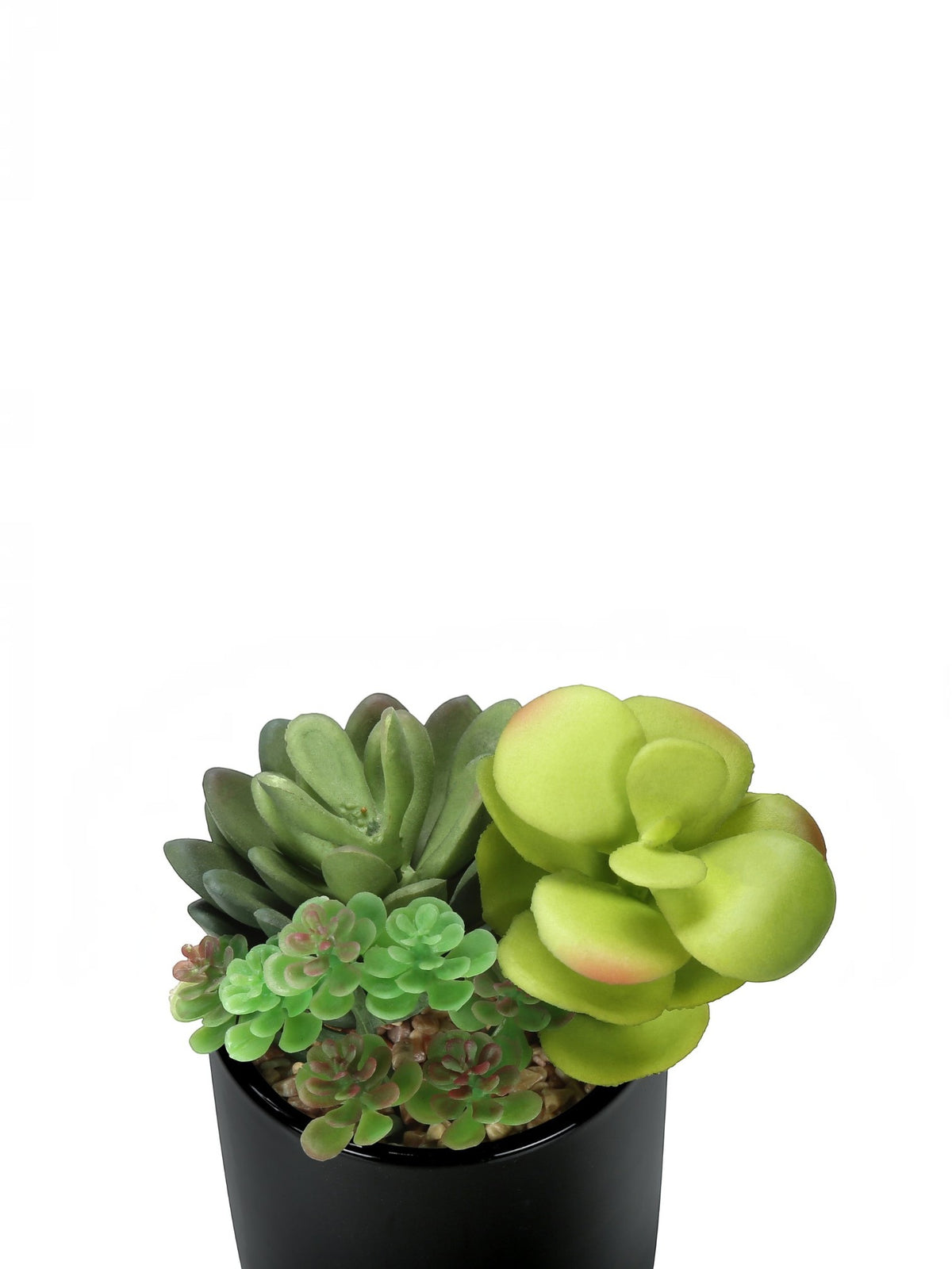Ensemble de deux plantes succulentes artificielles TOCO Meubles dans un pot noir avec des cailloux décoratifs