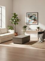 Table basse TOCO Meubles en orme ancien avec plateau relevable et rangement intégré dans un salon moderne lumineux